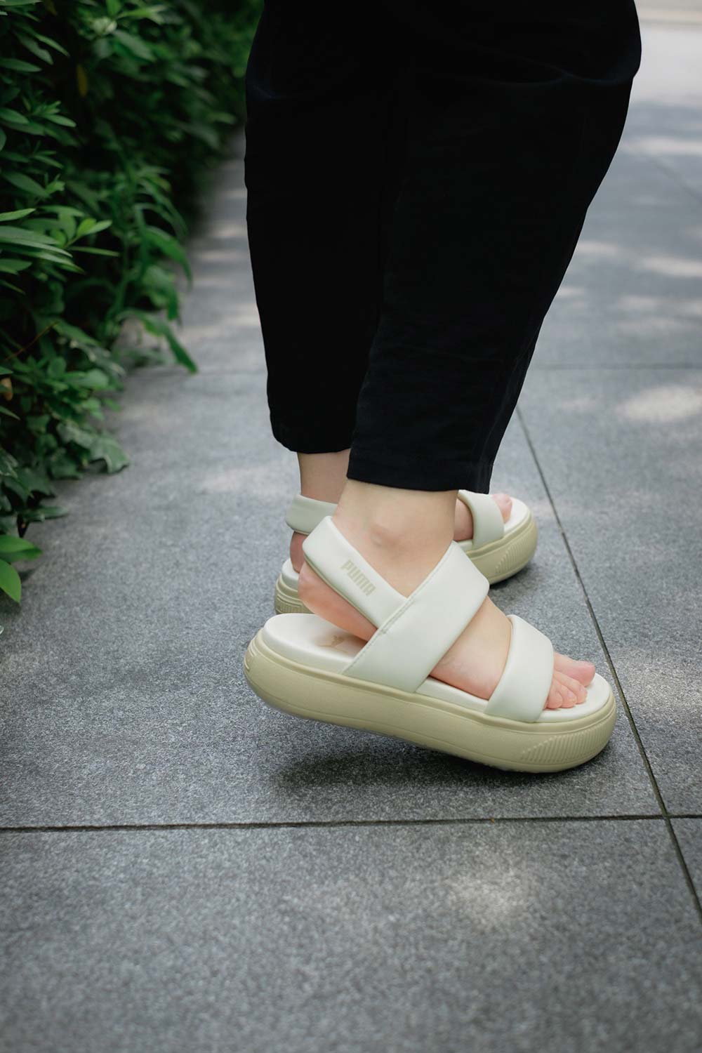 美品☆ミルフィーユ アンサンブル上下110cm 楽天市場】プーマ ランニングシューズ レディース ソフトライド