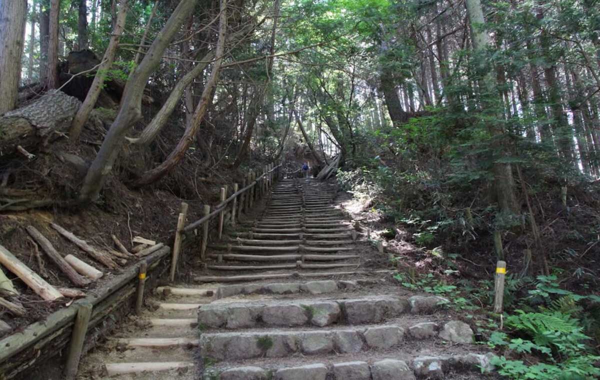 BOSTON CLIMING CLUB 第三弾　“金剛山”【BCCブログ】